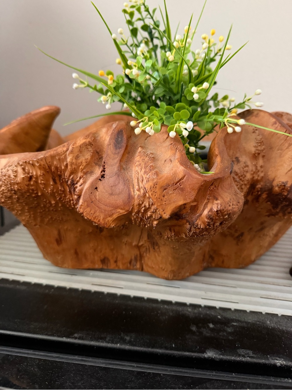 Hand-Carved Teak Burl Bowl Planter Greenery natural wood decor cedar teak root